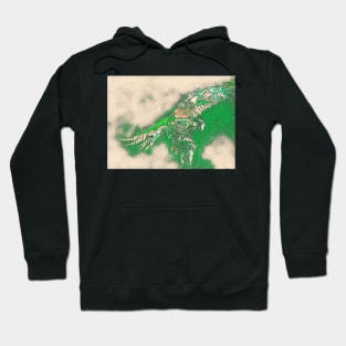 Macaw 9 Hoodie